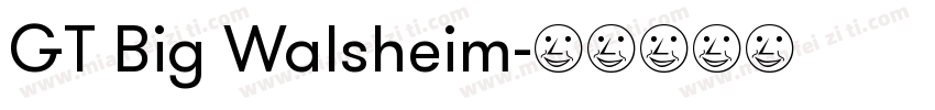 GT Big Walsheim字体转换